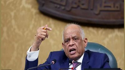 عبدالعال ينتقد صياغة مشروع قانون الهيئات الشبابية