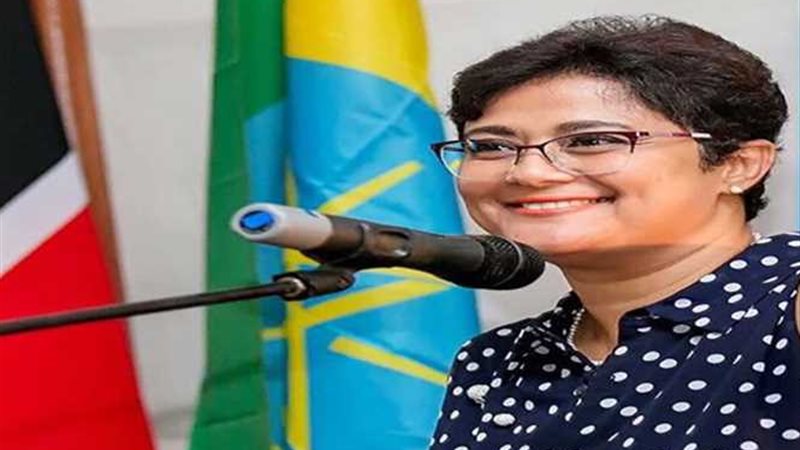 مصر تهدي جناحا للغسيل