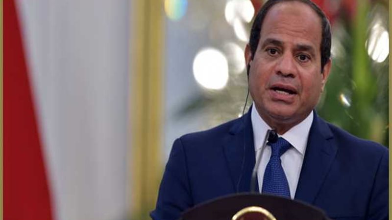 السيسى : ناقشت مع