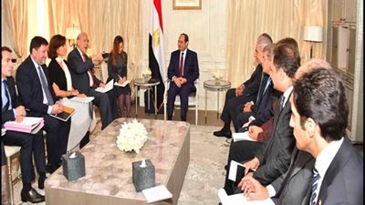 السيسي : نهتم بالتعاون مع فرنسا فى برامج مكافحة الفساد