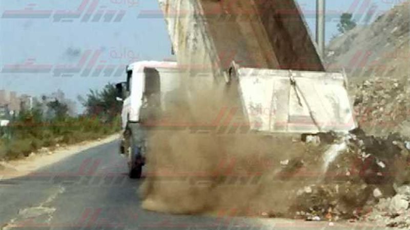 بالصور.. سيارات حي