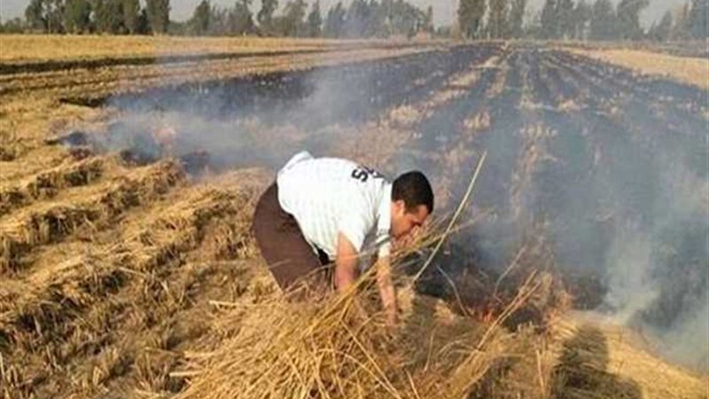 حملات متواصلة للبيئة