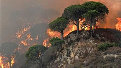 الحرائق تلتهم الغابات شمالي غرب إيطاليا