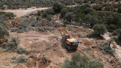 «الخارجية الفلسطينية»: حرب الاحتلال على «الزيتون» امتداد للتهويد