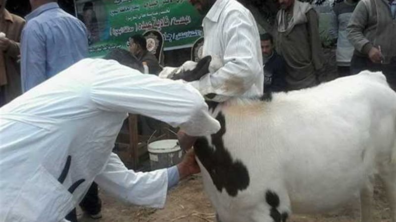 قوافل علاجية بيطرية