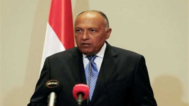 سامح شكري: استخدام