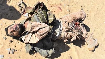 صور وفيديو جديدان لعملية «الثأر والكرامة»