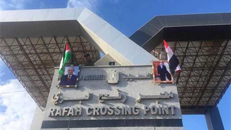 صقور مصر تحقق حلم