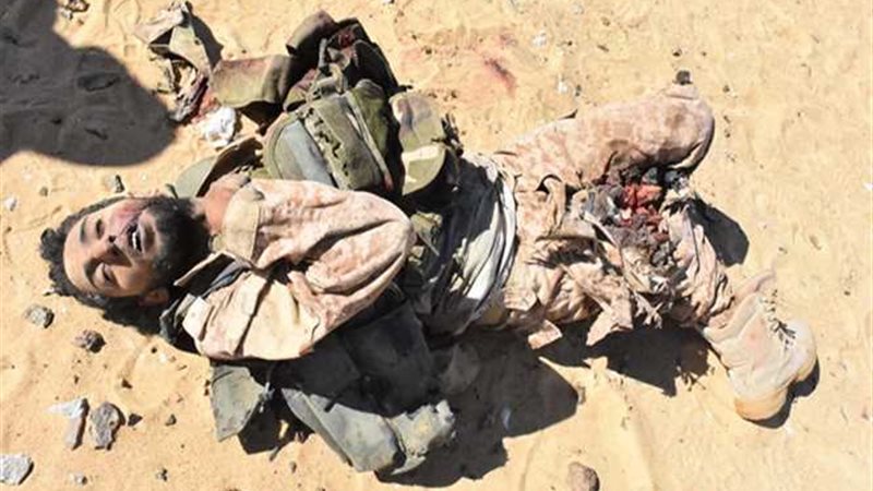 صور وفيديو جديدان