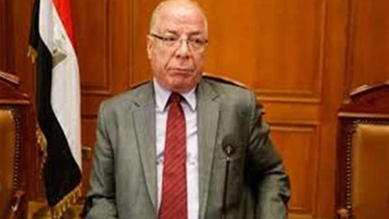 النمنم يتفقد القومي