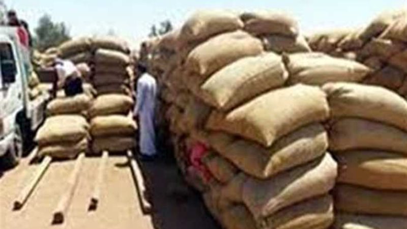 ضبط 3 متهمين بتهريب