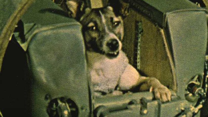 لايكا اول رائدة فضاء