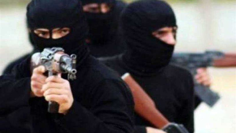 مسلحون يختطفون ألمانيا