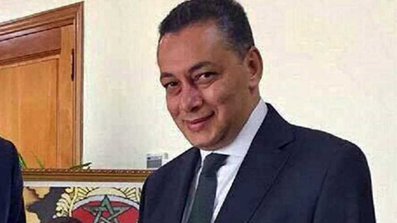 السفير المصري في