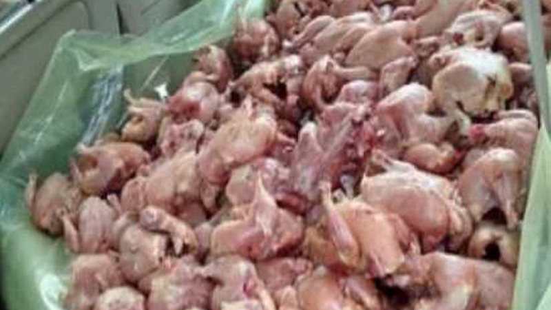 حملة تموينية بقليوب