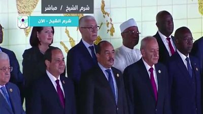 السيسي يستقبل الوفود الرسمية المشاركة في منتدى شباب العالم