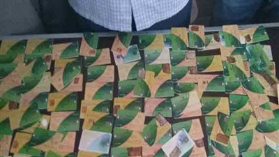 ضبط شخص لتجميعه 539 بطاقة ذكية للتلاعب بالسلع التموينية ‎