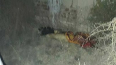 جريمة هزت كفر الشيخ .. طالب يقتل شقيقه بكفرالشيخ ويأكل لحمه