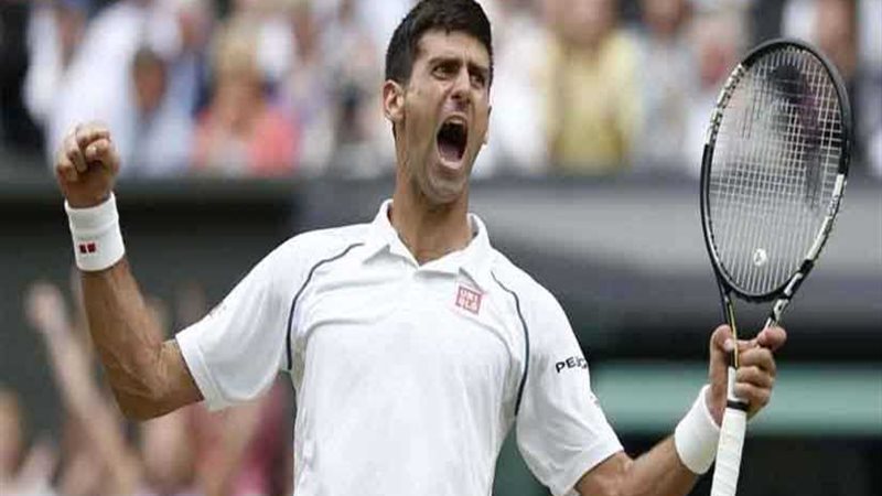 ديوكوفيتش وموراي