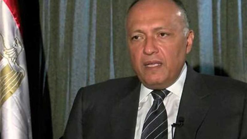 شكري يشدد على تبني