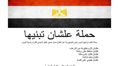 دمياط: توقيع 44 ألف استمارة (علشان تبنيها)