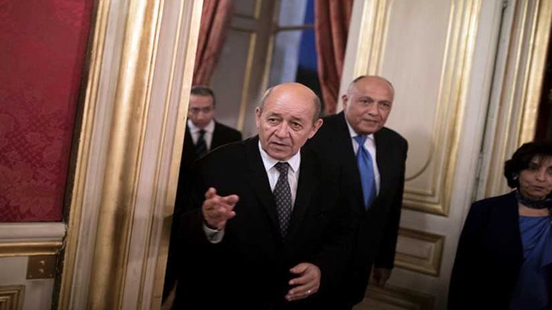 شكري يلتقي وزير الخارجية