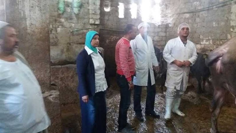 بالصور.. استمرارحملة