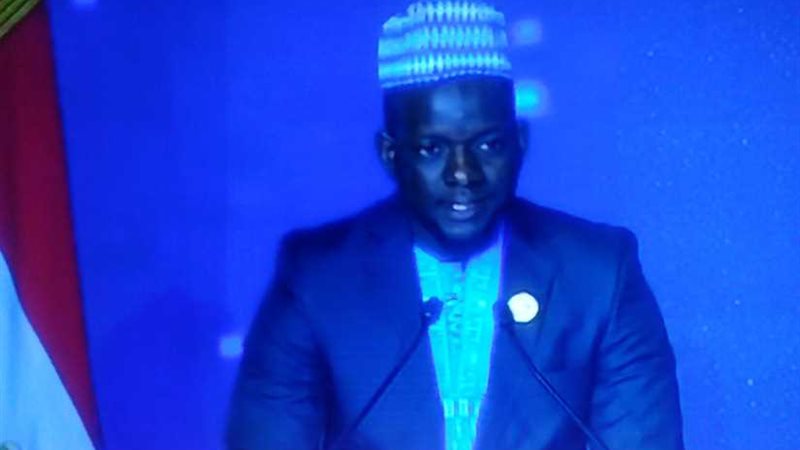 ممثل النيجر: المصريون