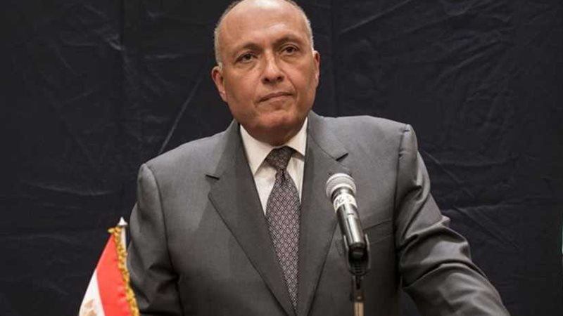 شكري ينقل رسائل شفهية