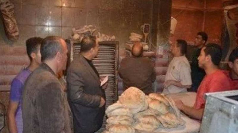 تحرير 87 محضرًا تموينيًا