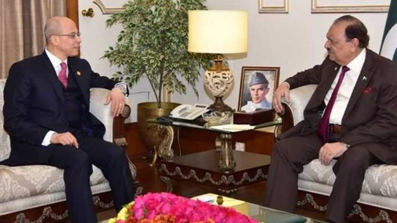 السفير المصري في