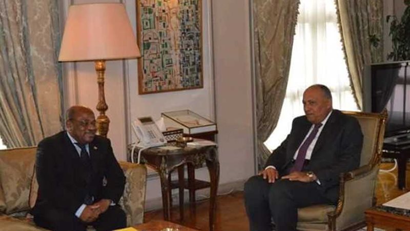 شكري يستقبل وزير