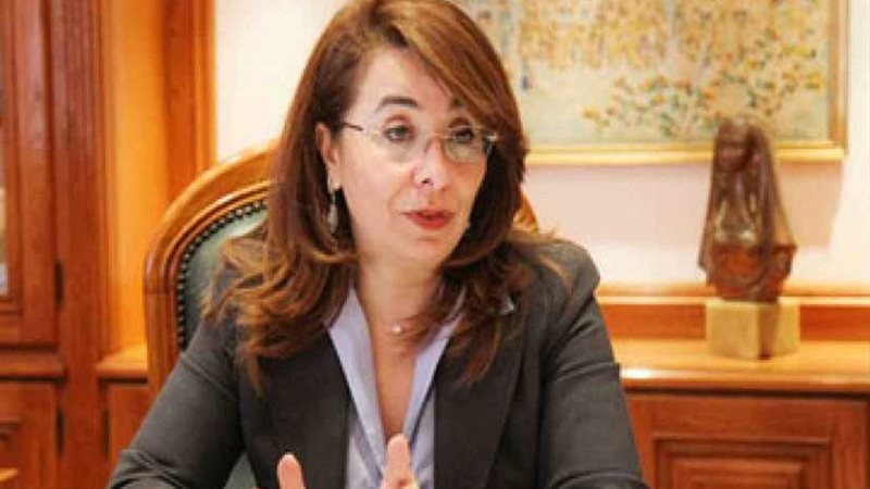 غادة والي: مشروع