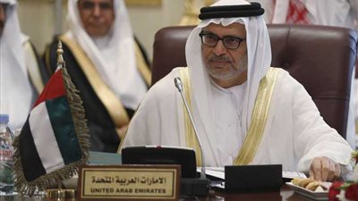 قرقاش: لن نقف مكتوفي الأيدي أمام 