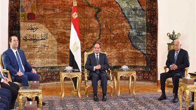 السيسي والشاهد يبحثان تعزيز التعاون الاقتصادي ومواجهة الإرهاب