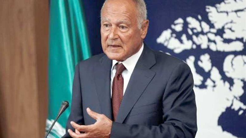 أبو الغيط: أطفال