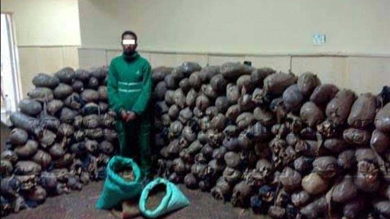 الداخلية: ضبط عاطل