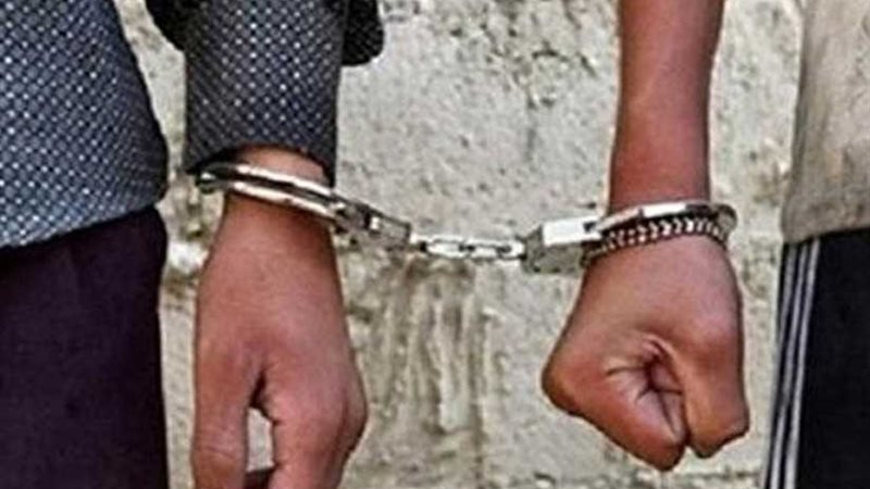 عاطلان سرقا ربة منزل