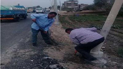 بالصور.. إحلال وتجديد أعمدة الإنارة المتهالكة بقرى دمنهور