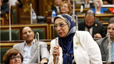 إيناس عبد الحليم: لا يستطيع أحد انتزاع حق المرأة الدستوري