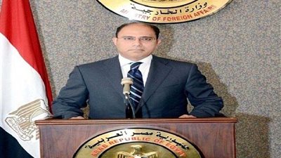 بالفيديو الخارجية: نسعى لإشراك المجتمع الدولى فى قضية 