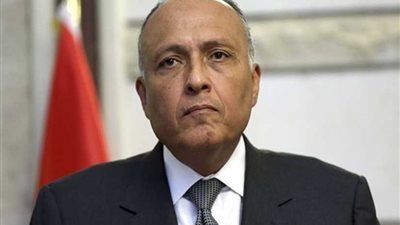 خبراء: زيارة شكري لـ6 دول تؤكد أن أمن الخليج خط أحمر