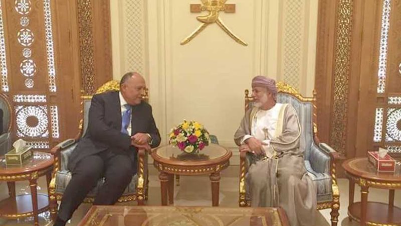 شكري ينقل رسالة الرئيس