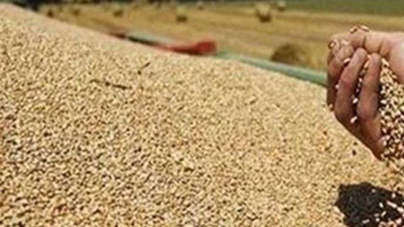 القضاء الإداري يقضي