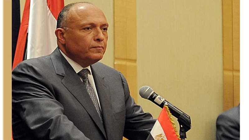 شكري ينقل رسالة شفهية