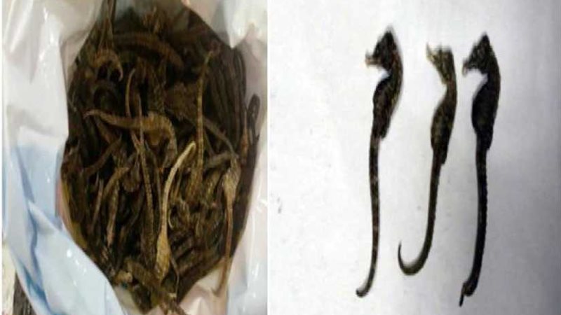 الأمن يحبط محاولة