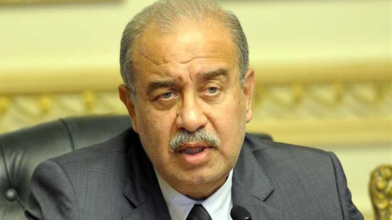 إسماعيل يلتقي رئيس