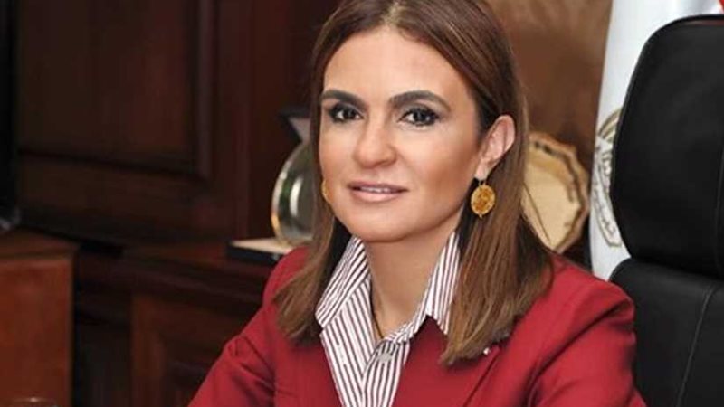 وزيرة الاستثمار تعود