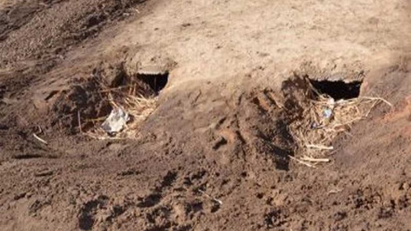 حفر 7 آبار جديدة