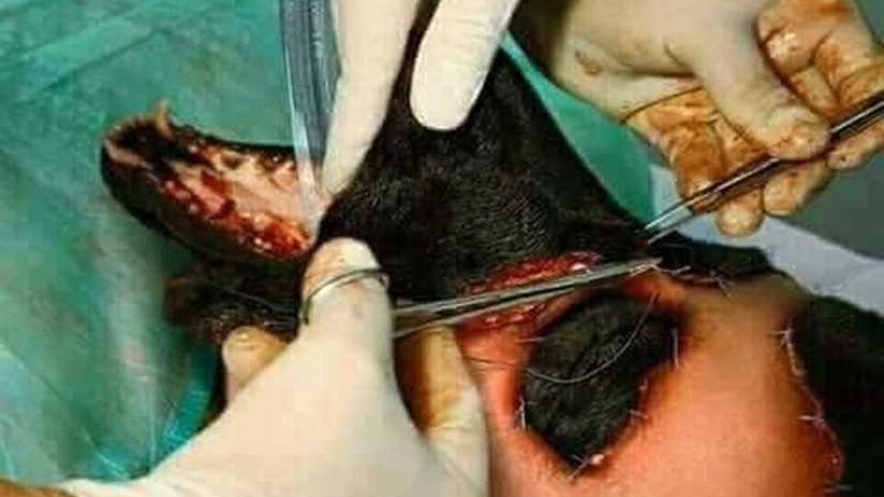 (صور )..ينفق ١٠٠